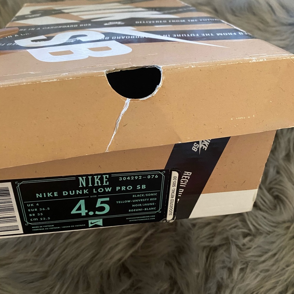 Nike dunk low pro SB